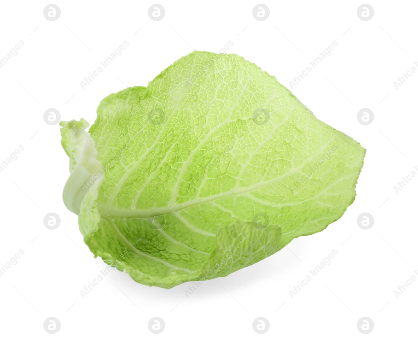 Photo of Fresh leaf of savoy cabbage isolated on white