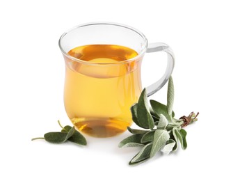 Photo of Cup of aromatic sage tea and fresh leaves on white background