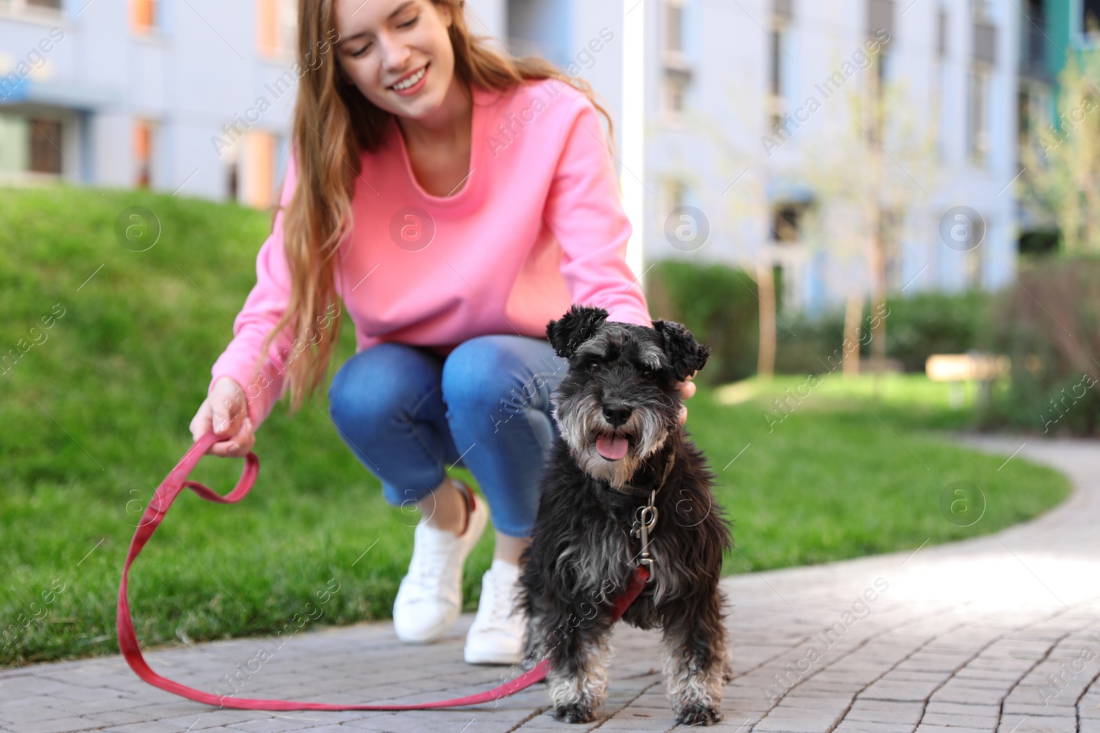 Photo of Young woman with Miniature Schnauzer dog outdoors