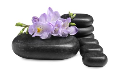 Photo of Beautiful violet freesia flowers and stones isolated on white