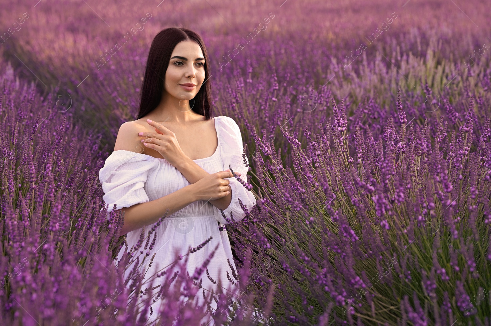 Photo of Portrait of beautiful young woman in lavender field