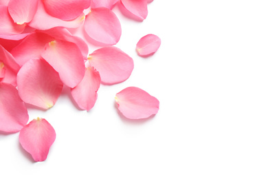 Photo of Fresh pink rose petals on white background, top view