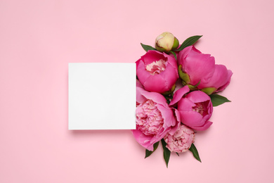 Beautiful peonies and blank card on pink background, flat lay. Space for text