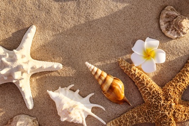 Flat lay composition with starfishes and seashells on sandy beach. Space for text