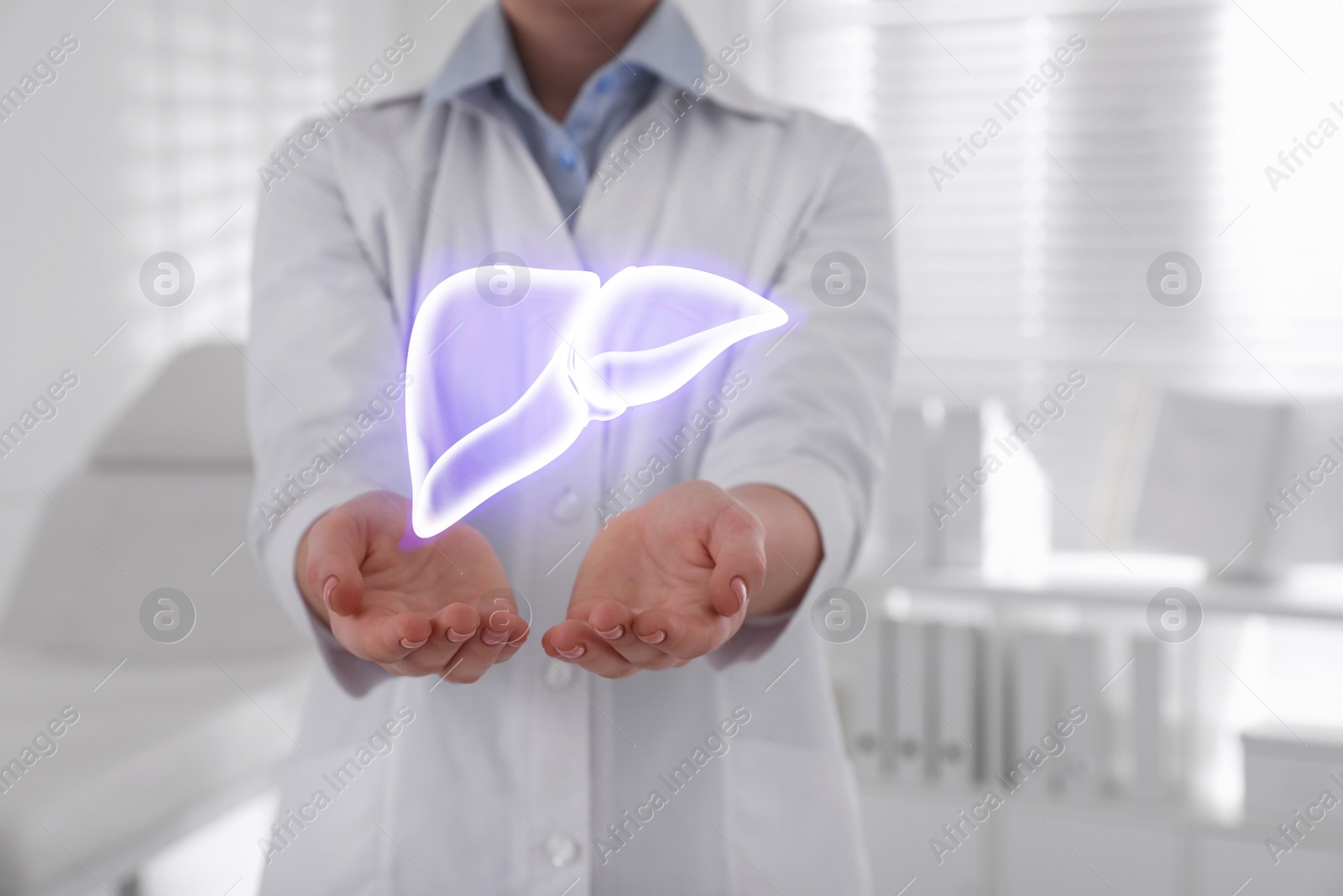 Image of Doctor and illustration of healthy liver in clinic, closeup