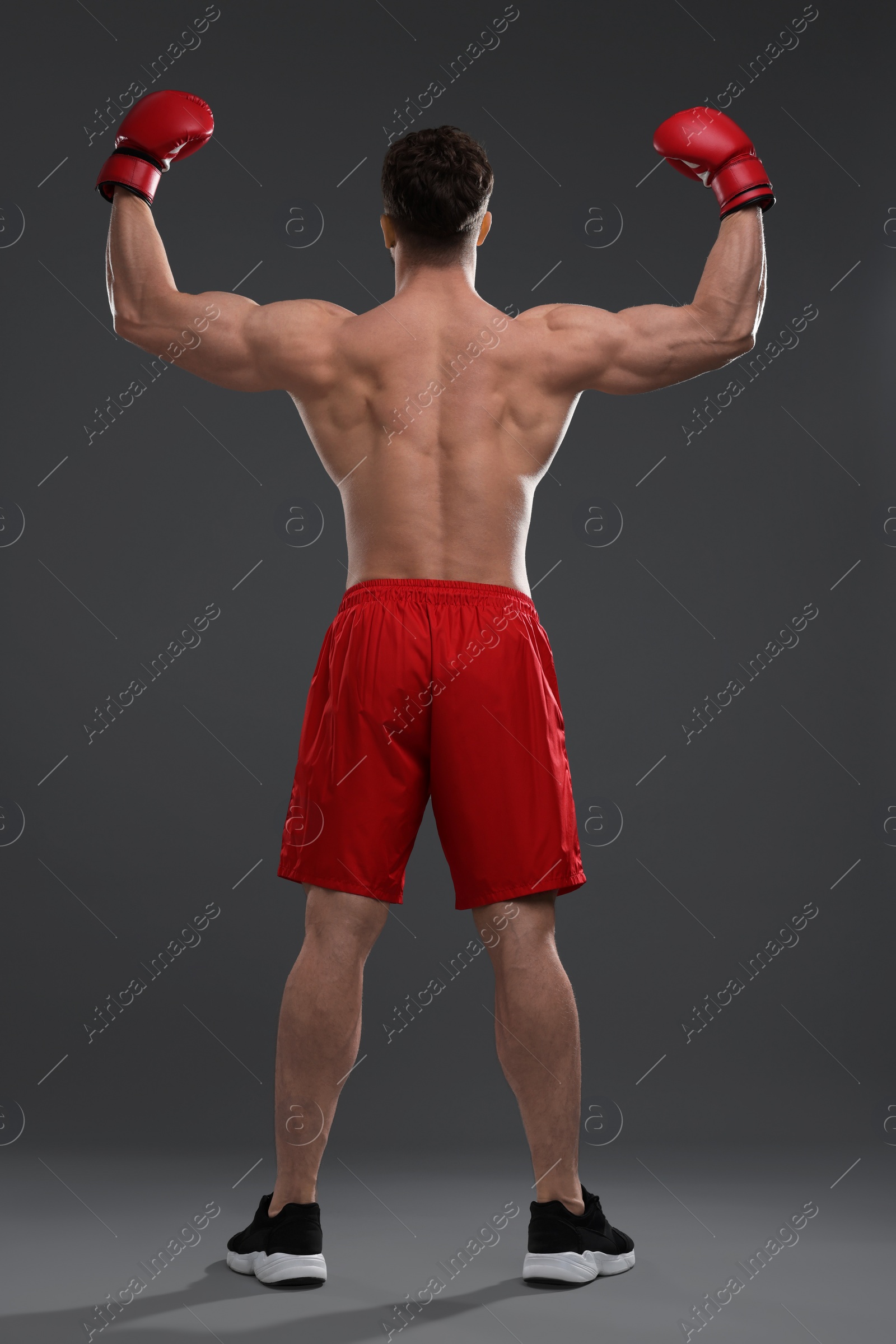 Photo of Man in boxing gloves on grey background, back view