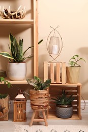 Photo of Wooden furniture with houseplants and stylish accessories. Room interior