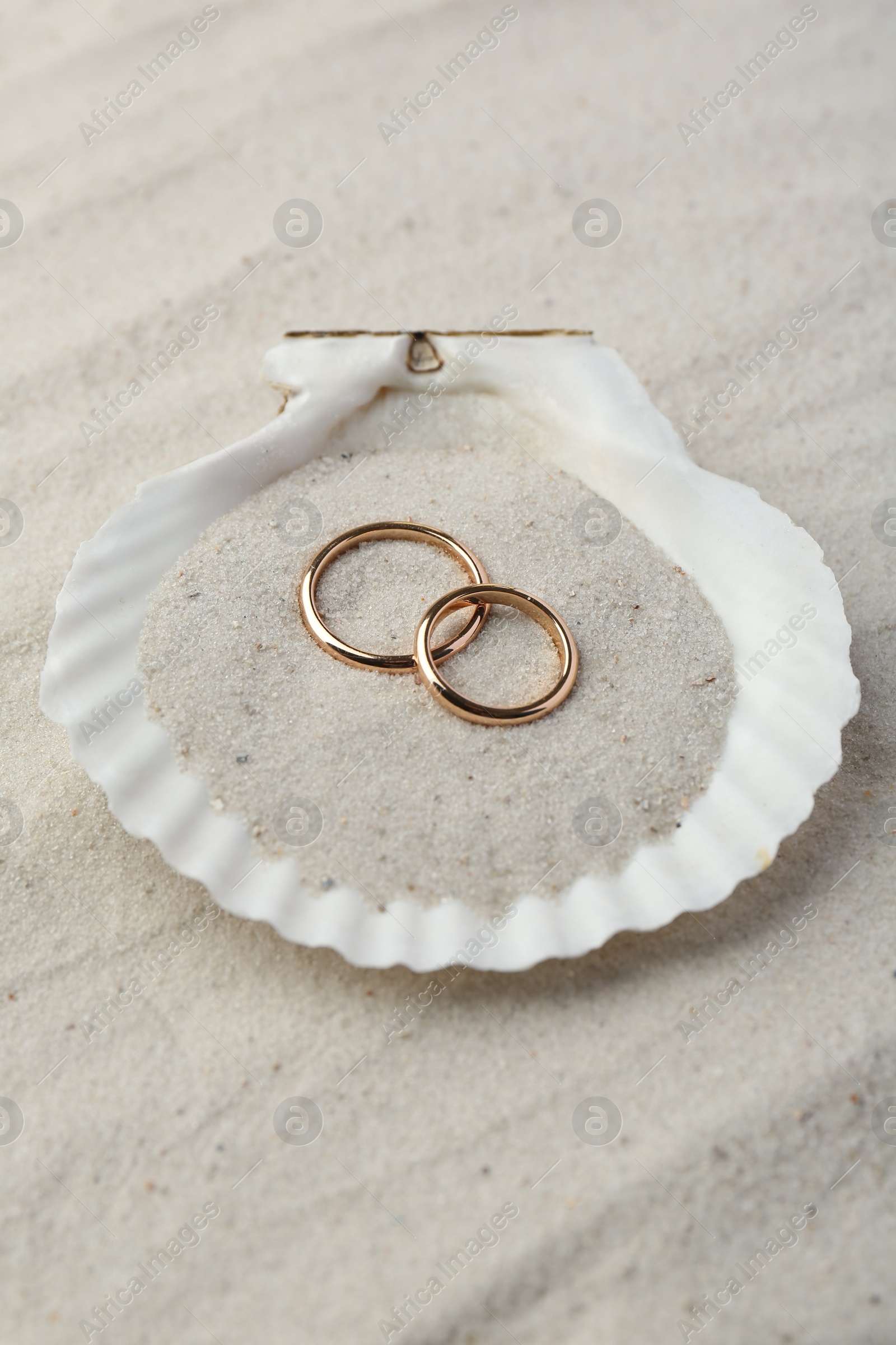 Photo of Honeymoon concept. Two golden rings and shell on sand
