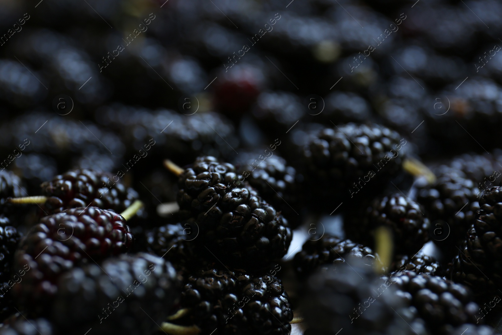 Photo of Heap of delicious ripe black mulberries, closeup view