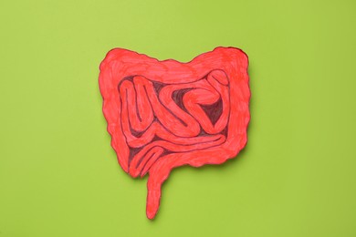 Photo of Paper cutout of small intestine on light green background, top view
