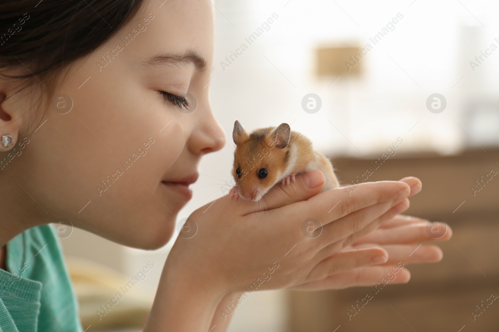 Photo of Little girl holding cute hamster at home, closeup