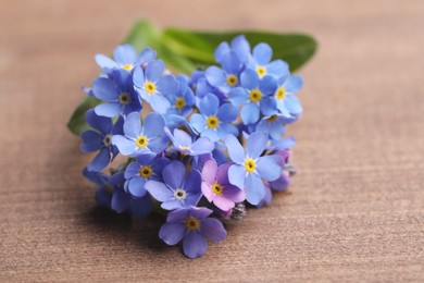 Photo of Beautiful blue Forget-me-not flowers on wooden table, closeup