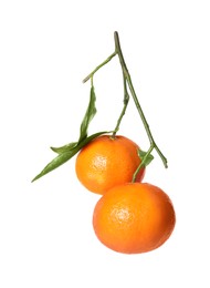 Photo of Fresh tangerines with green leaves isolated on white