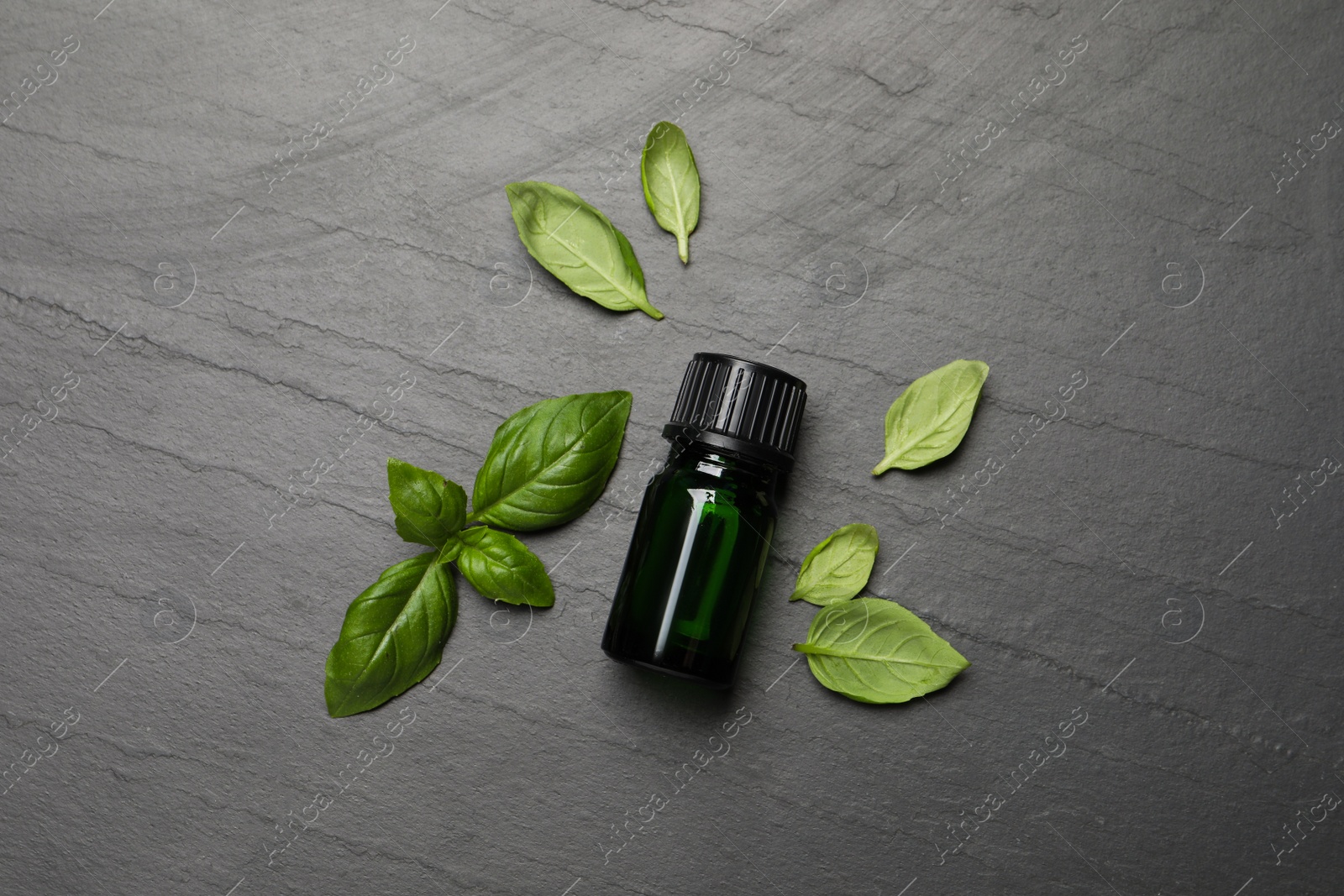 Photo of Bottle of essential basil oil and fresh leaves on dark grey table, flat lay