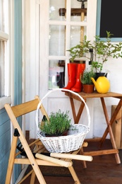 Photo of White basket with seedlings and gardening tools on wooden chair near house