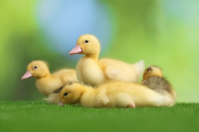 Photo of Cute fluffy ducklings on artificial grass against blurred background, closeup. Baby animals