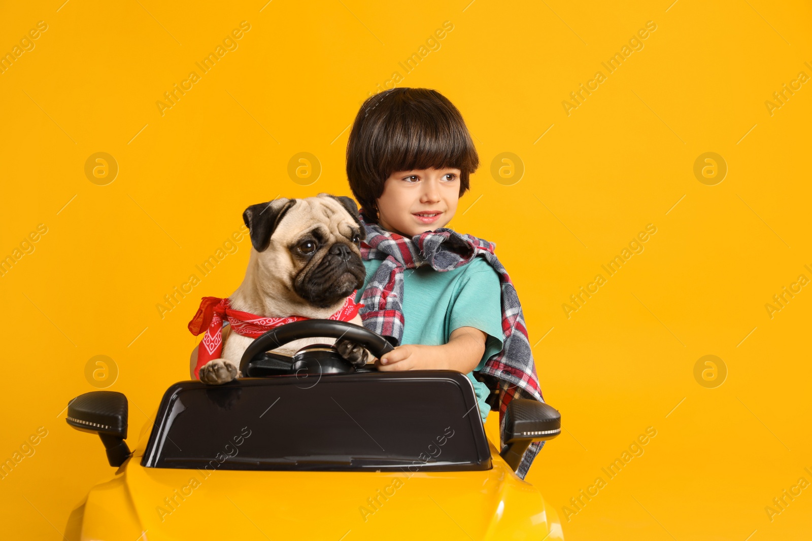 Photo of Little boy with his dog in toy car on yellow background