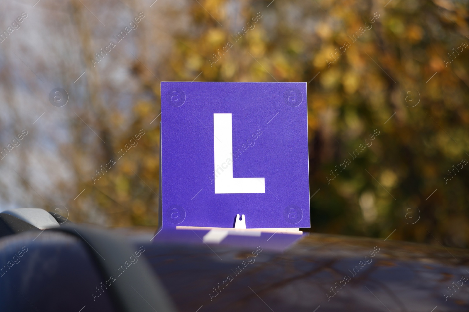 Photo of L-plate on car roof outdoors. Driving school