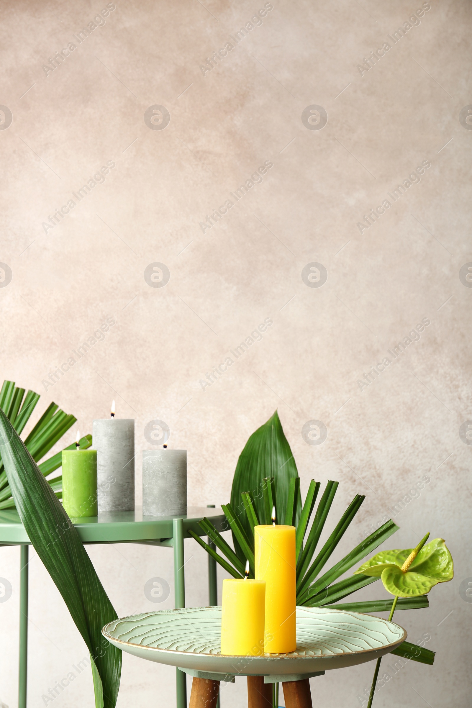 Photo of Creative composition with candles and tropical plants on color background