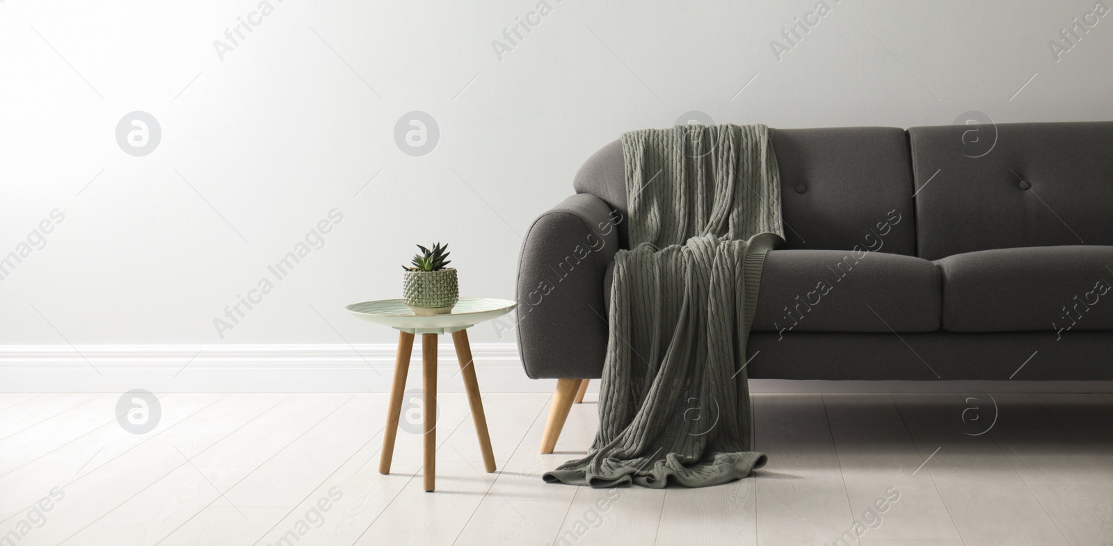 Photo of Stylish living room interior with comfortable grey sofa and beautiful plant