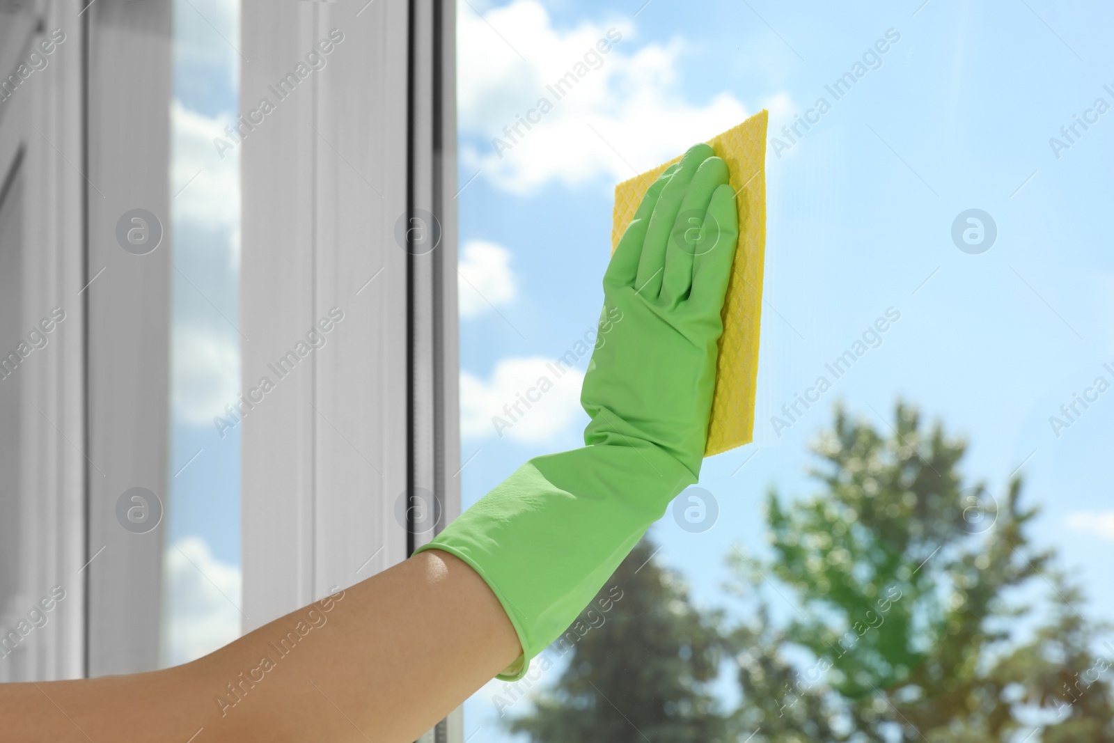 Photo of Woman cleaning window glass with sponge cloth indoors, closeup