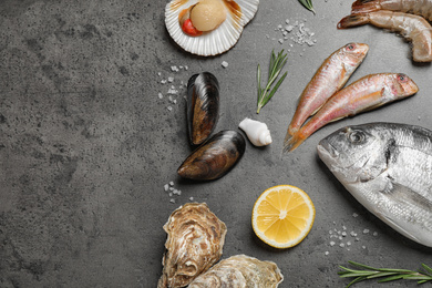 Fresh fish and seafood on grey table, flat lay