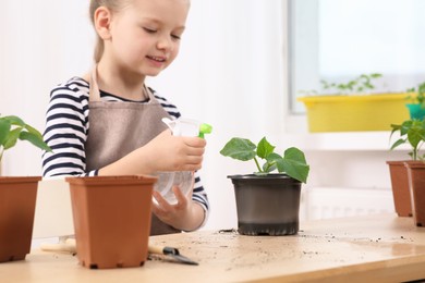 Photo of Cute little girl spraying seedling in pot at wooden table indoors, selective focus. Space for text