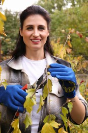 Photo of Woman pruning tree branch by secateurs in garden