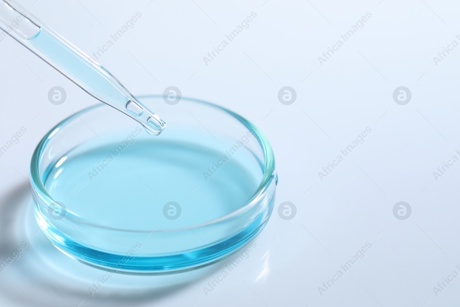 Photo of Dripping liquid from pipette into petri dish at white table, closeup. Space for text