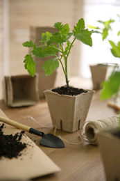 Soil, gardening trowel, rope and green tomato seedling in peat pot on wooden table