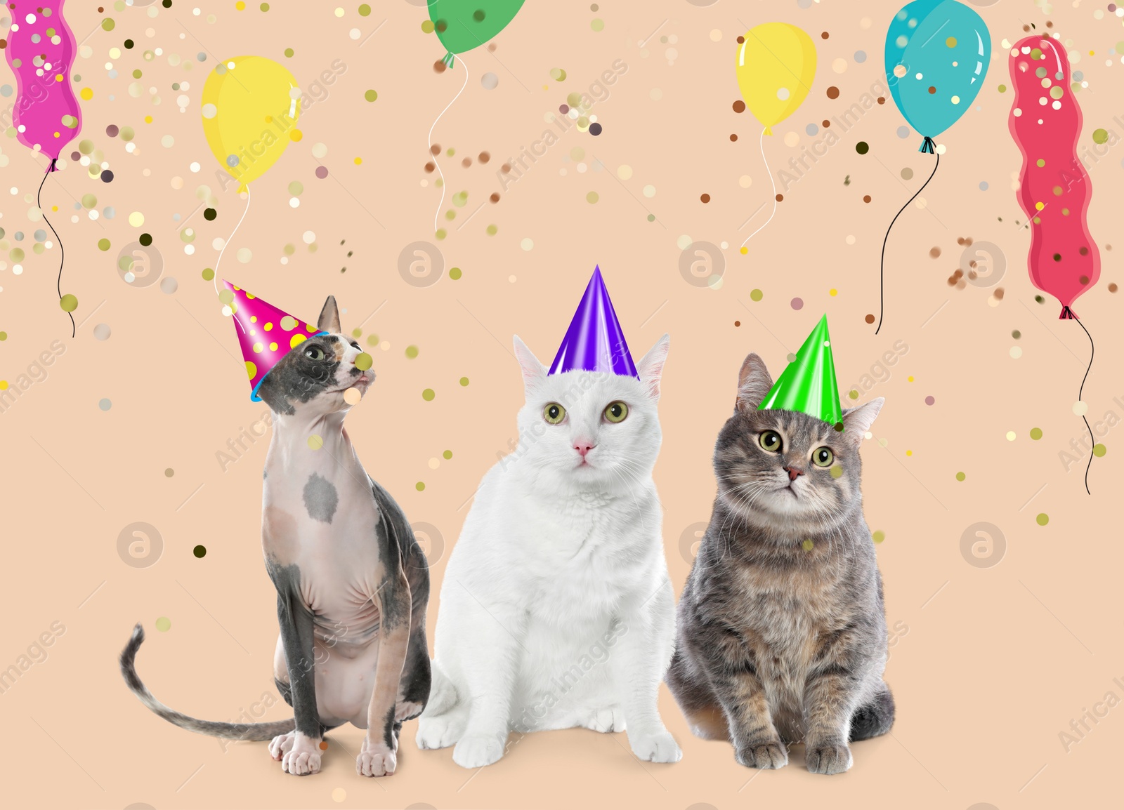 Image of Adorable cats with party hats on beige background