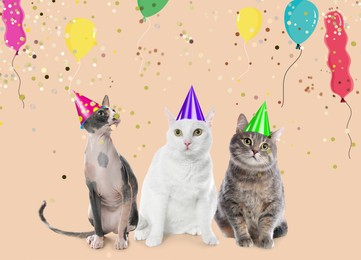 Image of Adorable cats with party hats on beige background