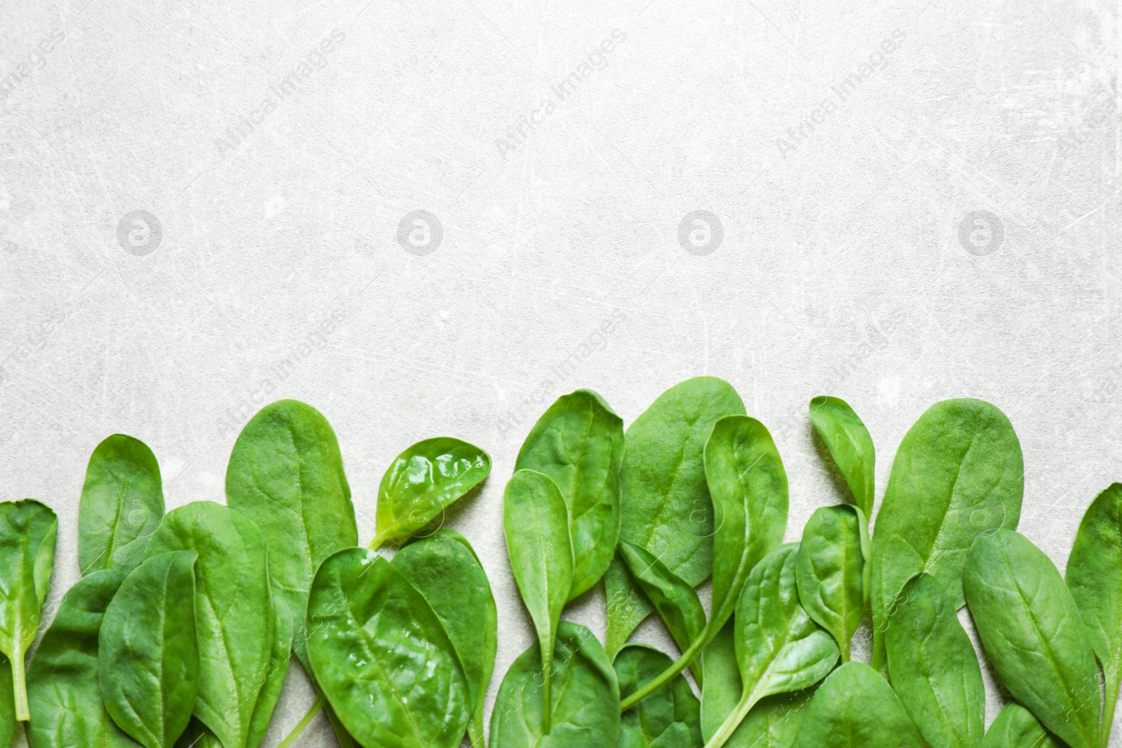 Photo of Fresh green healthy spinach on light table, flat lay. Space for text