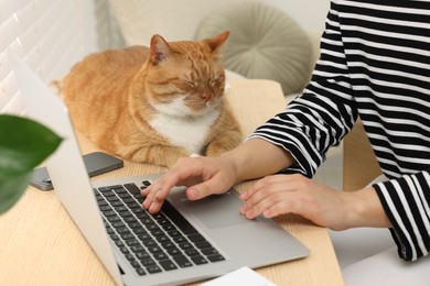 Photo of Woman working with laptop at home, closeup. Cute cat lying on wooden desk near owner