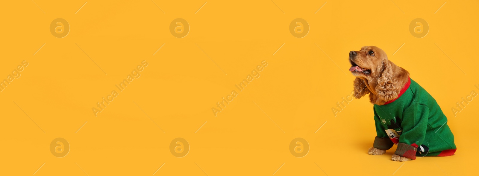 Photo of Adorable Cocker Spaniel in Christmas sweater on yellow background, space for text