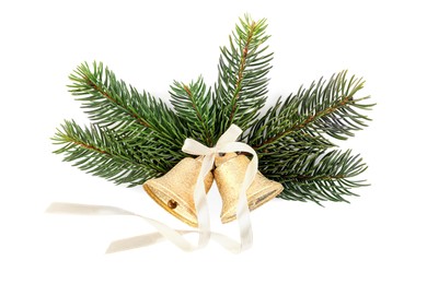 Photo of Golden shiny bells with bow and fir branches isolated on white. Christmas decoration