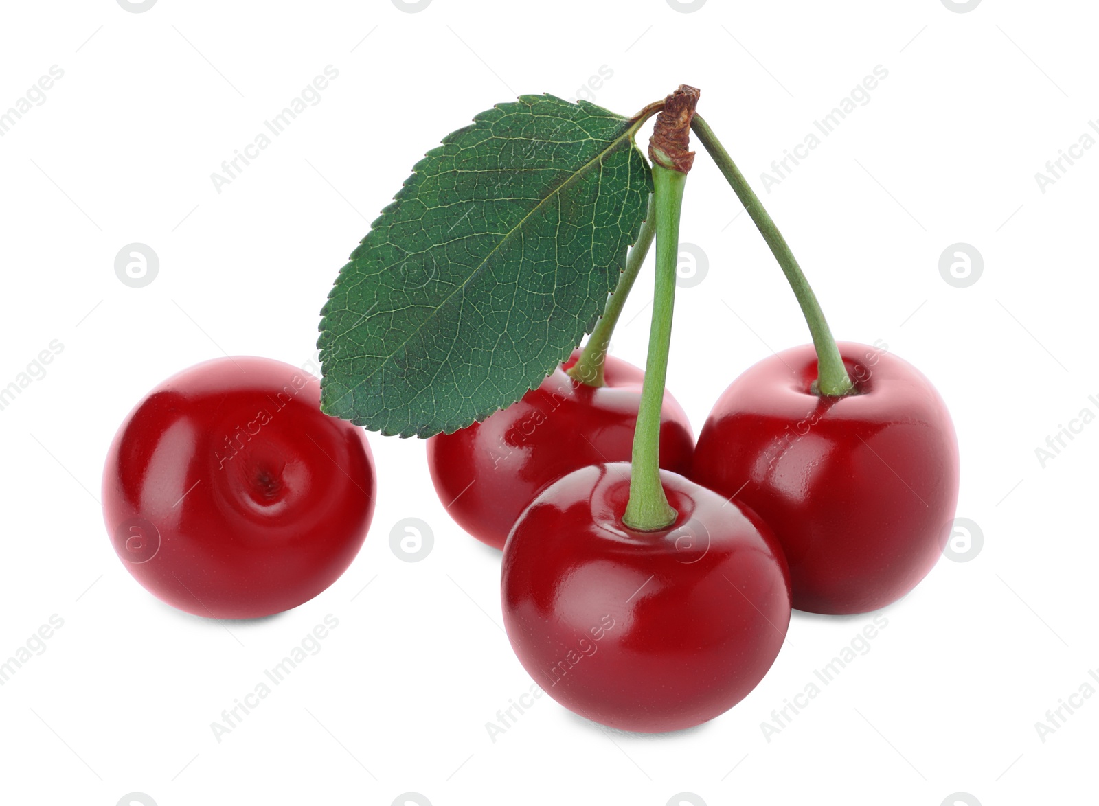 Photo of Sweet red juicy cherries isolated on white
