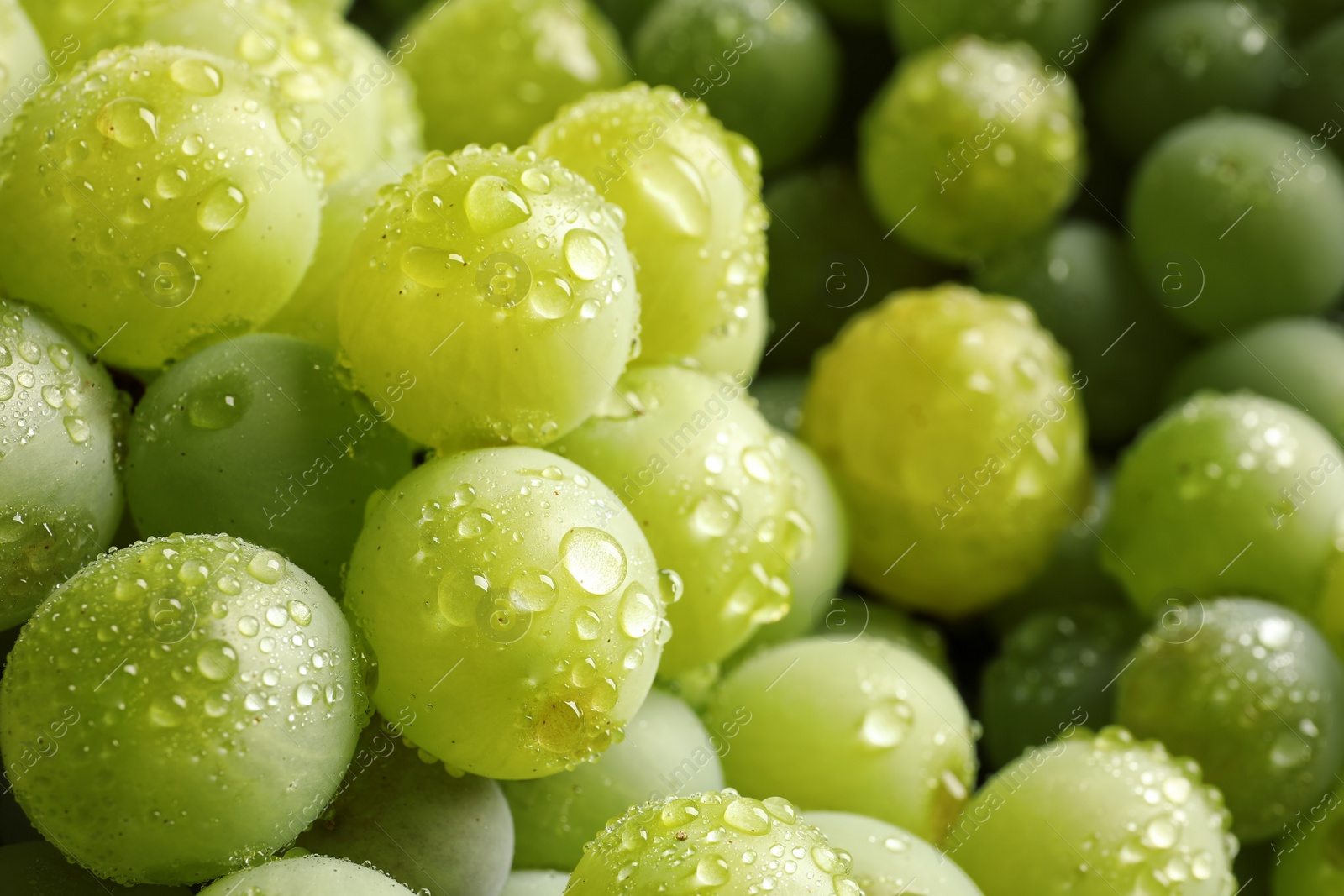 Photo of Bunch of green fresh ripe juicy grapes as background. Closeup view