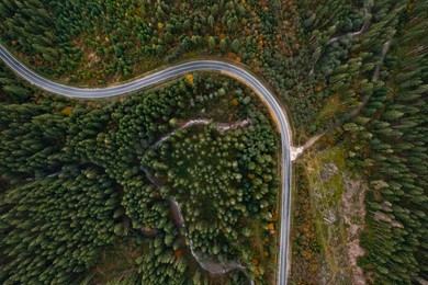 Image of Aerial view of beautiful forest and road on autumn day