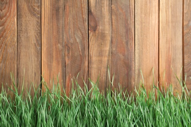 Fresh green grass near wooden fence. Space for text