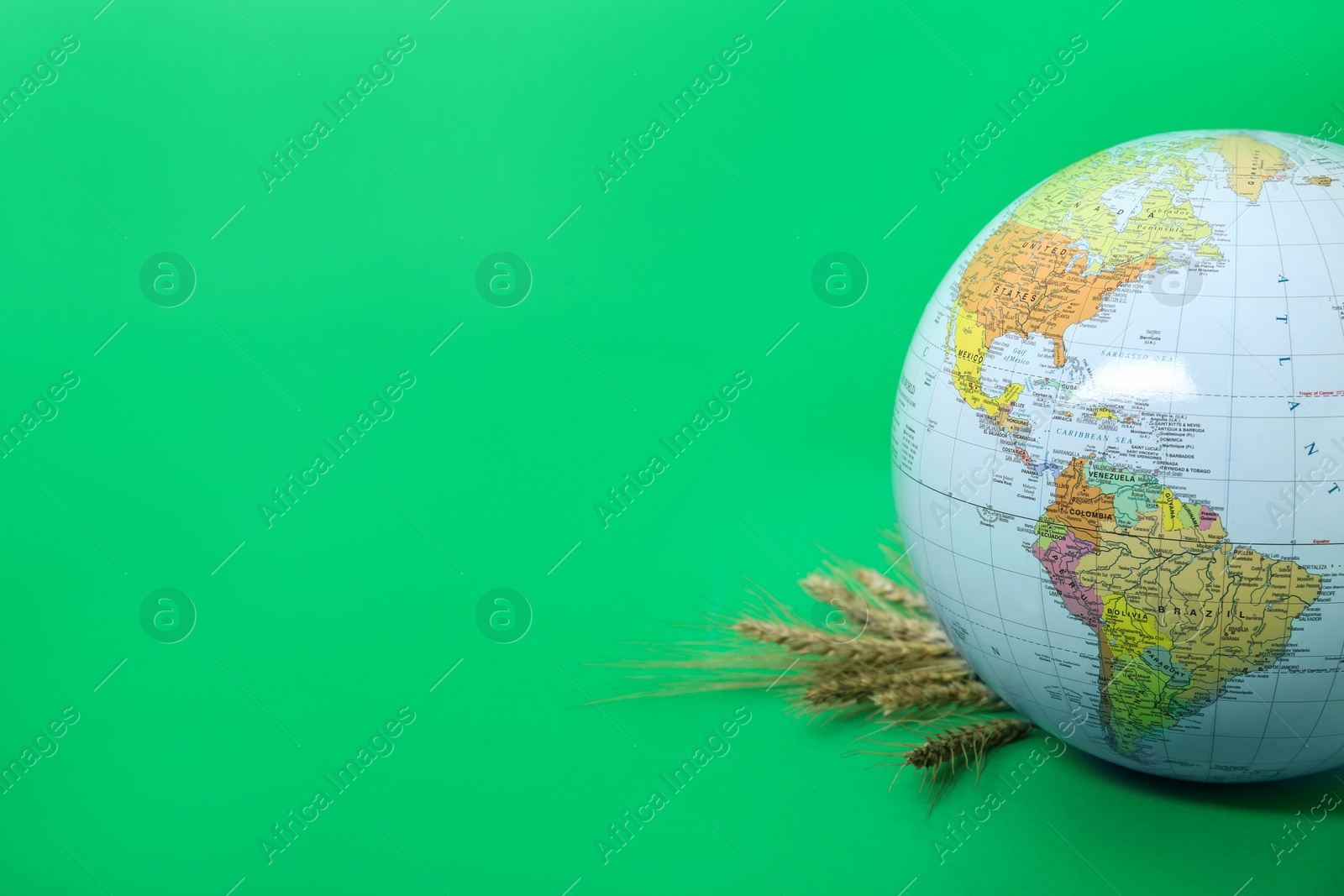 Photo of Globe with wheat spikelets on green background, space for text. Hunger crisis concept