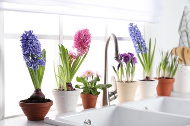 Photo of Beautiful flowers in pots near sink on window sill indoors