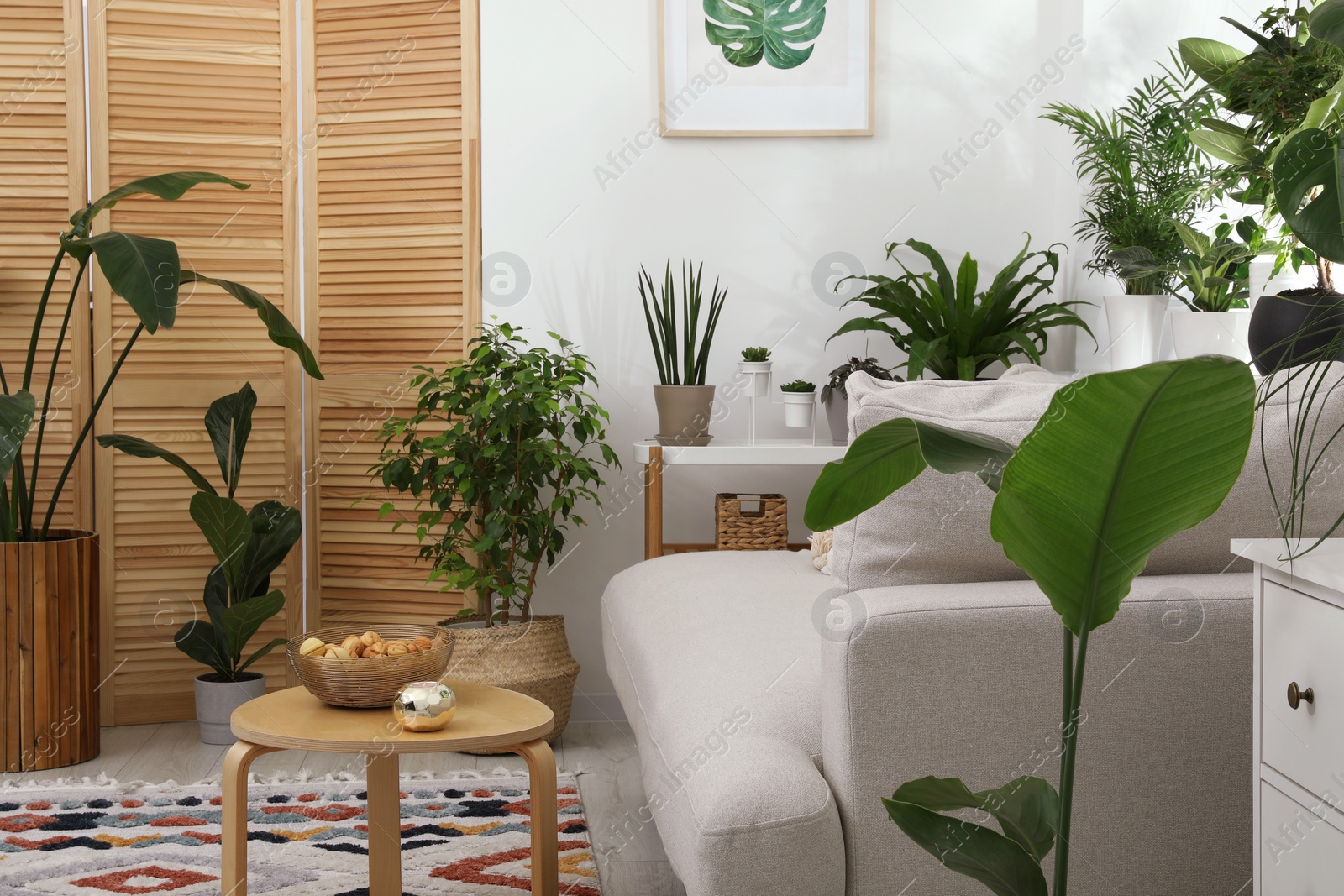 Photo of Stylish room with comfortable sofa, coffee table and beautiful houseplants. Interior design