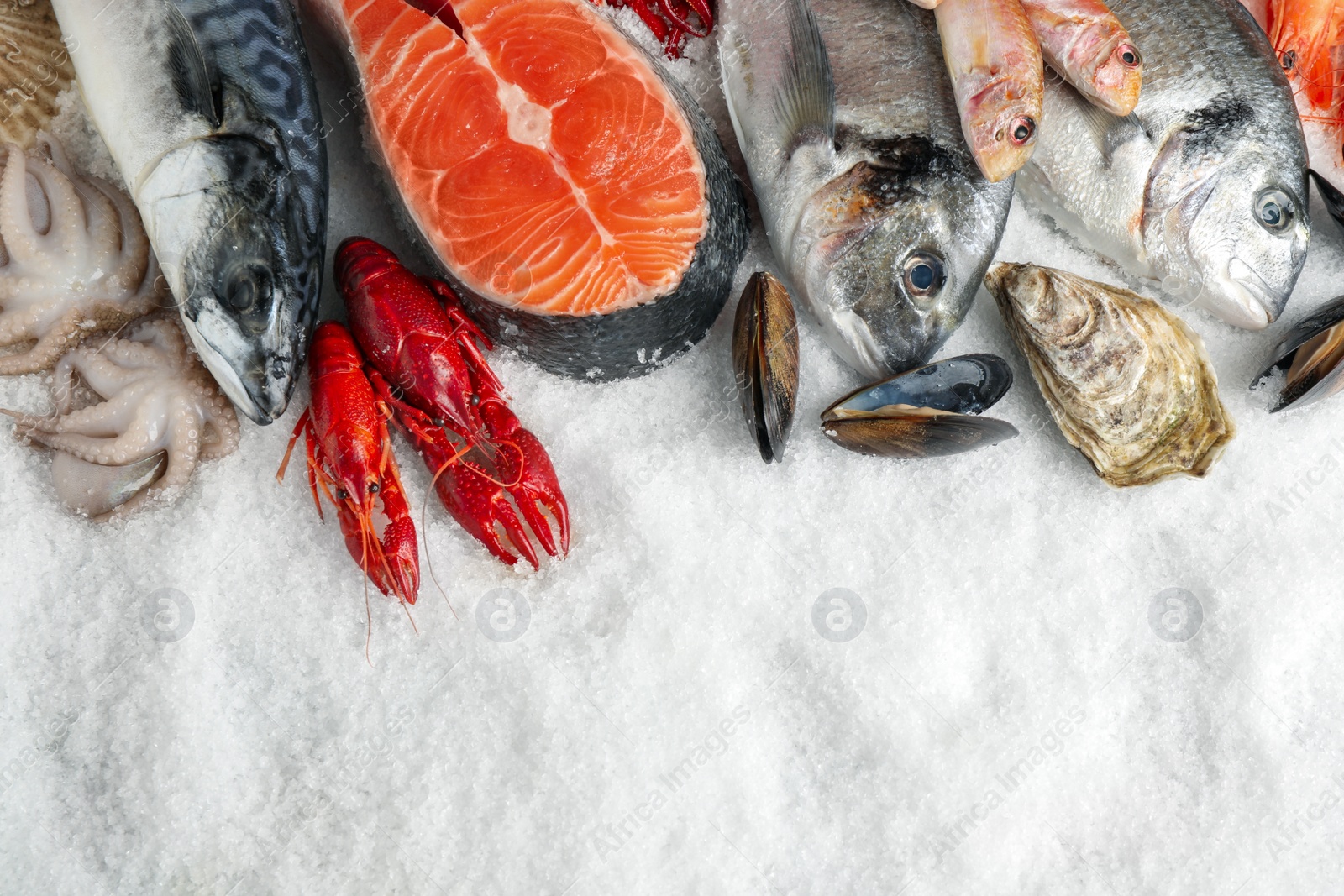 Photo of Fresh fish and seafood on ice, flat lay. Space for text