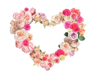 Image of Heart made of beautiful roses on white background