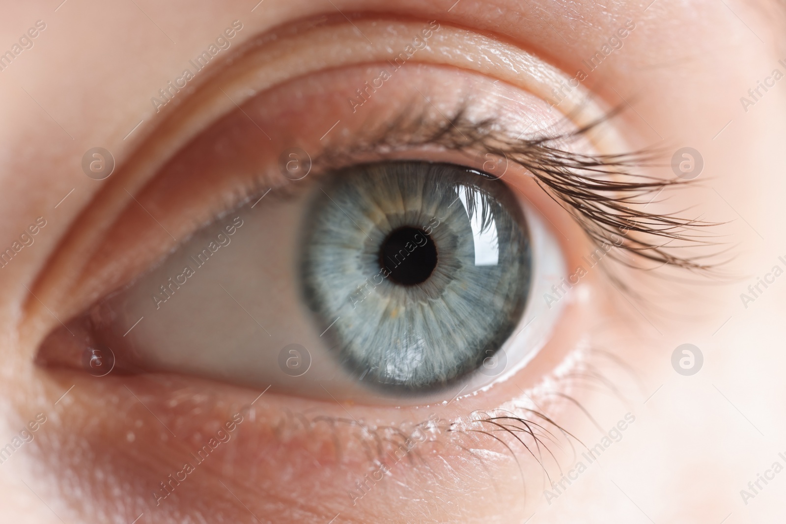 Photo of Macro photo of woman with beautiful eyes