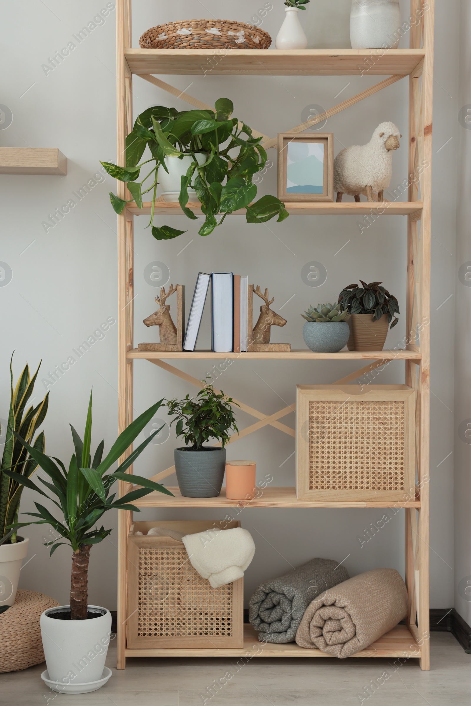 Photo of Wooden shelving unit with home decor and beautiful houseplants in room