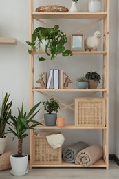 Wooden shelving unit with home decor and beautiful houseplants in room