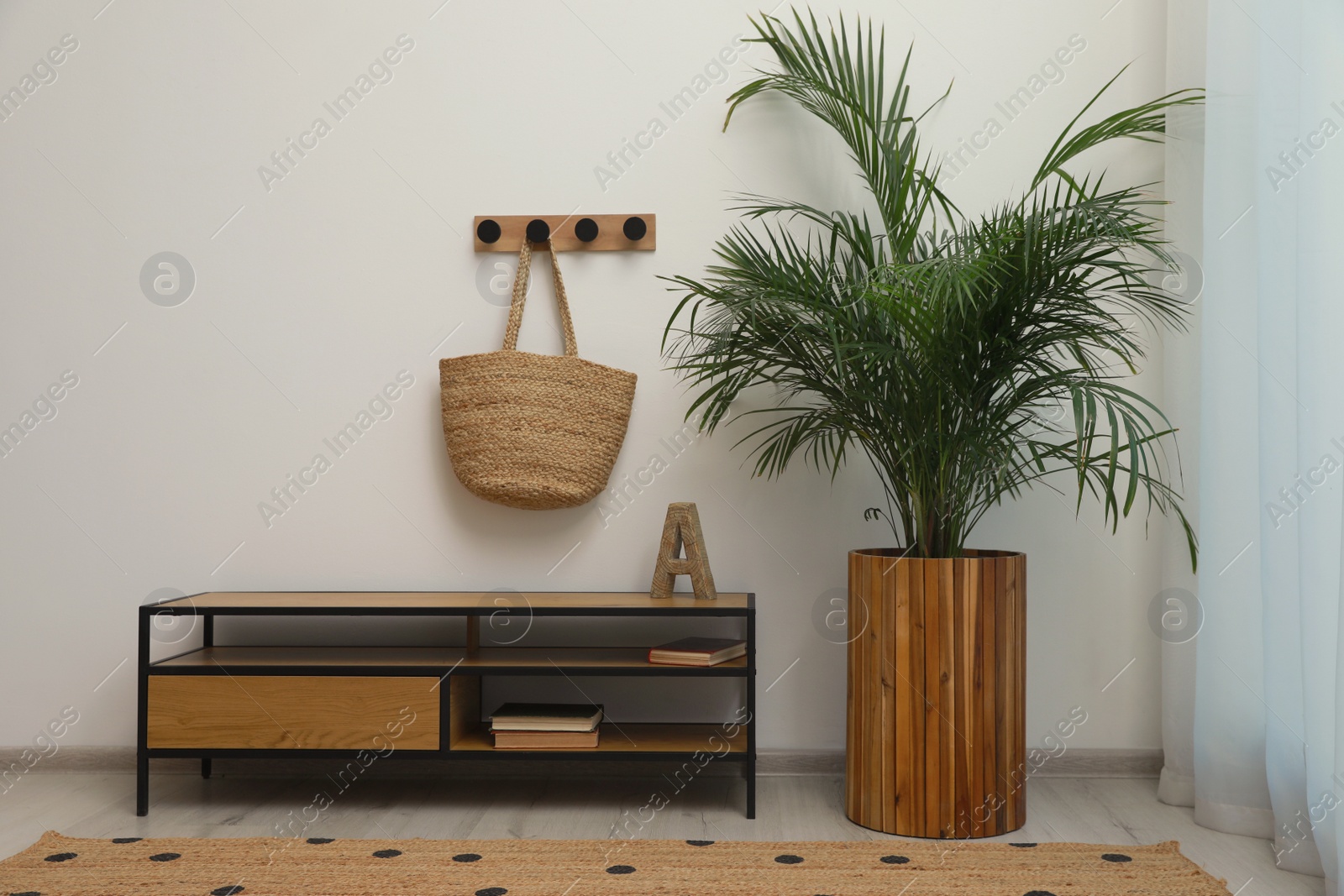 Photo of Hallway interior with beautiful green houseplant near window