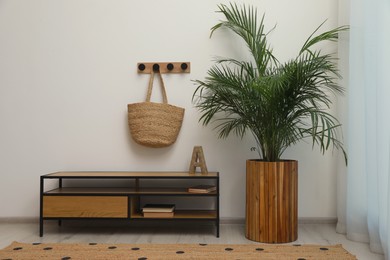 Hallway interior with beautiful green houseplant near window